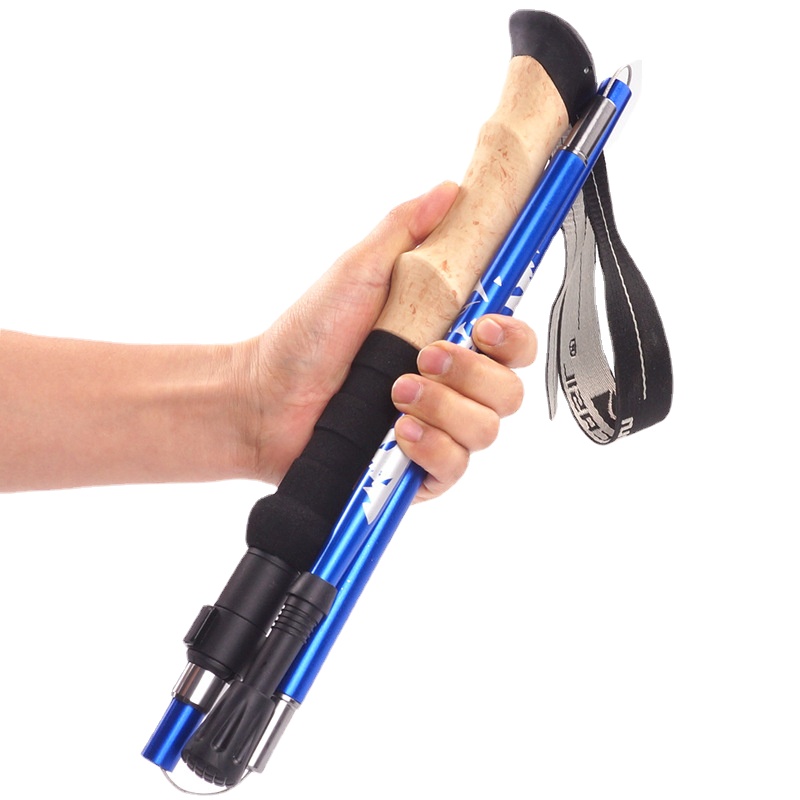 Carbon Fiber 5-delige ultralic - Trekking Pole Carbon recensie en prijs