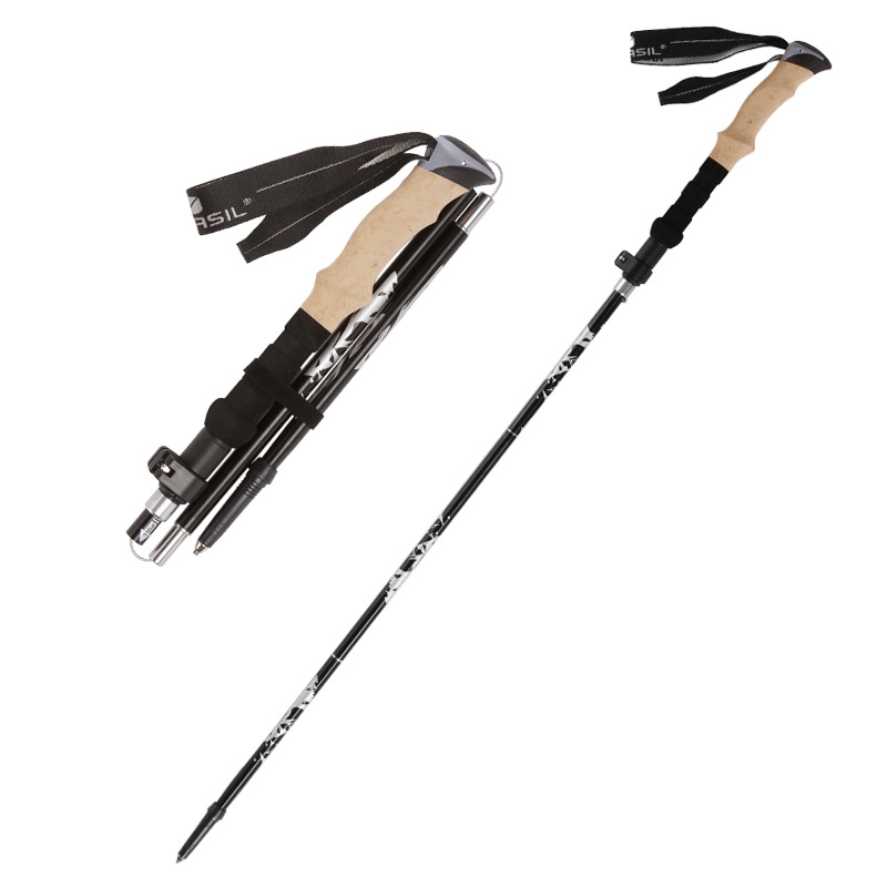 Carbon Fiber 5-delige ultralic - Trekking Pole Carbon recensie en prijs